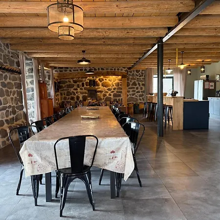 Le Rabiouze - 4 Epis, 15 Pers, 22 Couchages - Ancienne Bergerie Renovee, Cachet D'origine Conserve - Vue Magnifique - Label Ecogite * Arlempdes